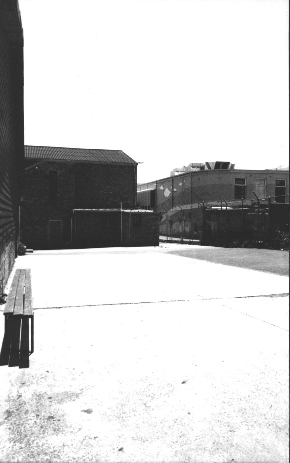 St Patrick's Primary School, Blacktown