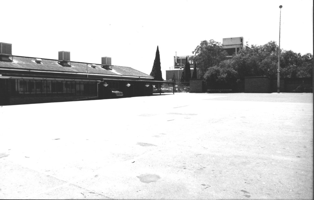 St Patrick's Primary School, Blacktown