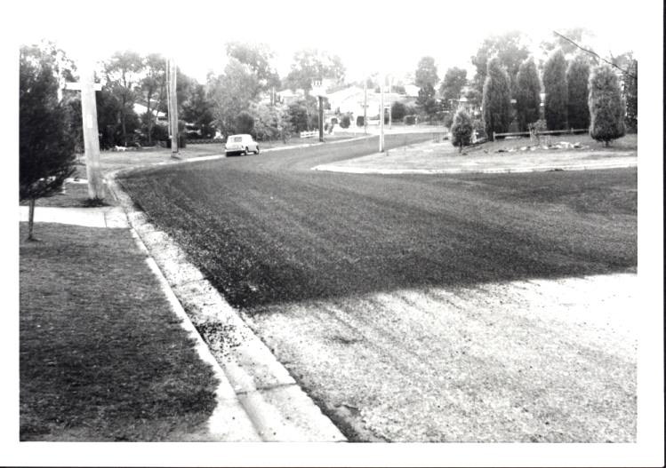 Taronga Street, Blacktown