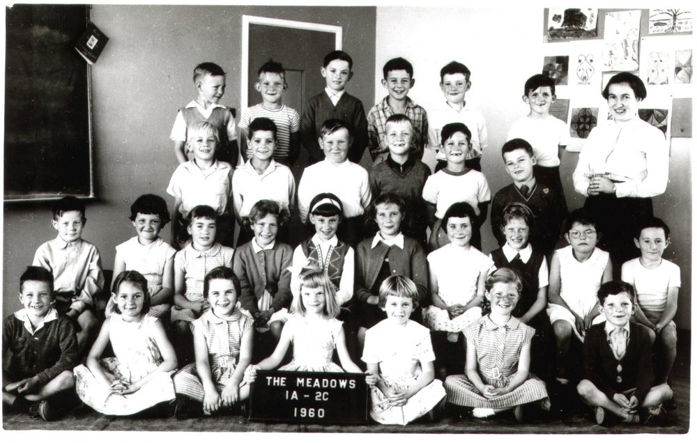 The Meadows Public School