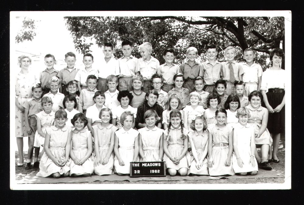 The Meadows Public School, Seven Hills