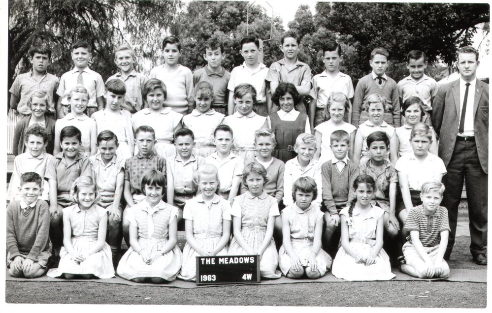The Meadows Public School