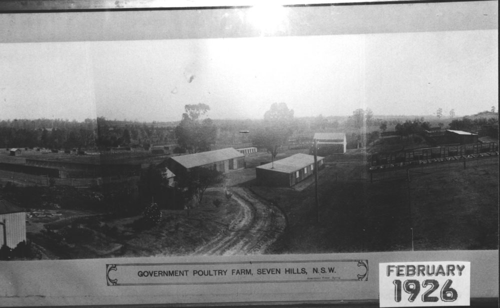 Government Poultry Farm, Seven Hills