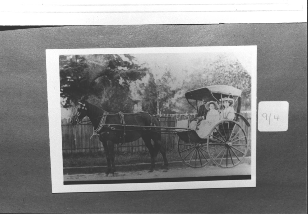 The Meadows Public School, Fuller Street, Seven Hills, Centenary display