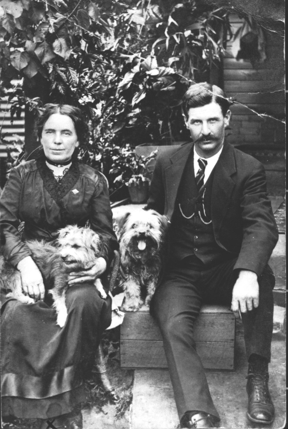 Couple with dogs