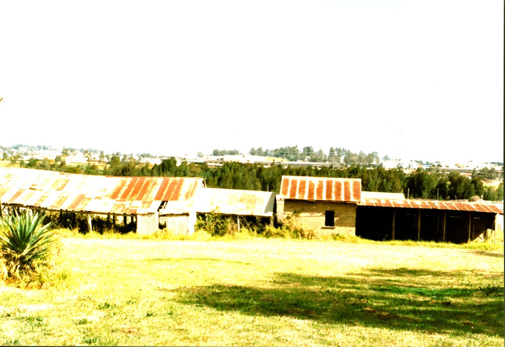 Hylands Farm buildings