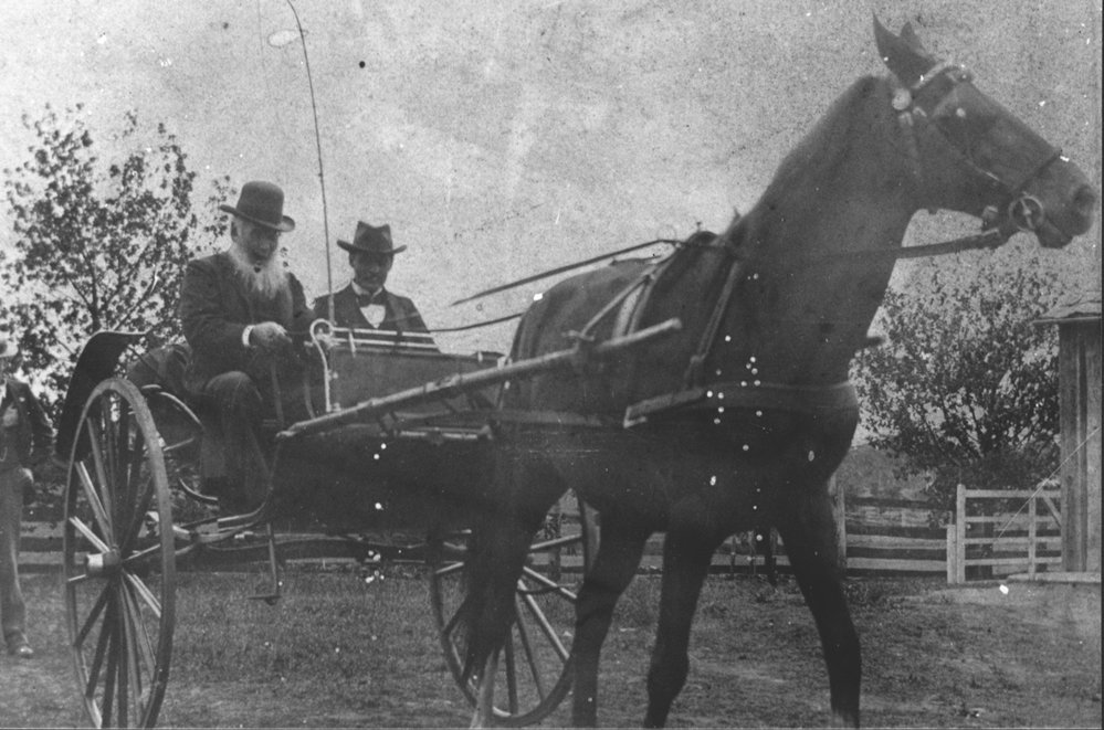 Men in horse and sulky