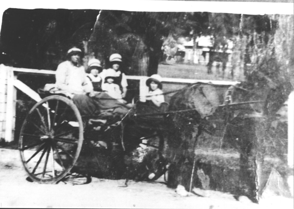 Family group in sulky