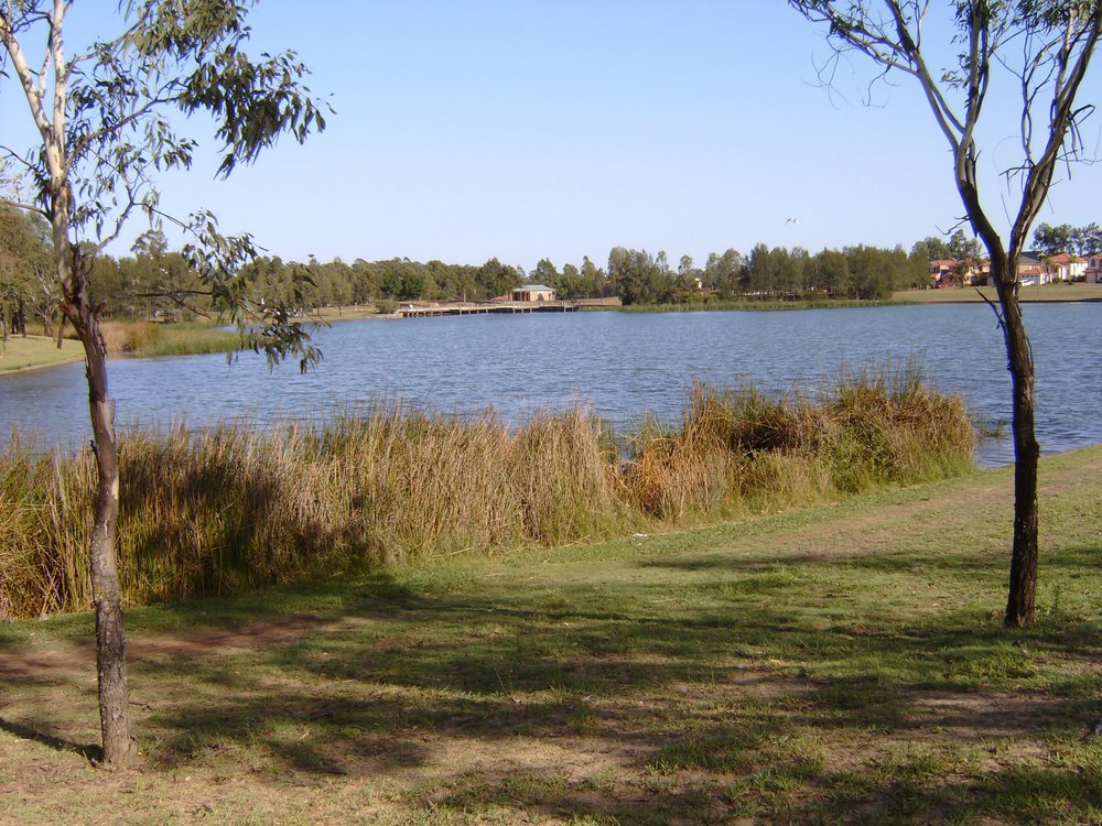 Woodcroft Lake, Woodcroft