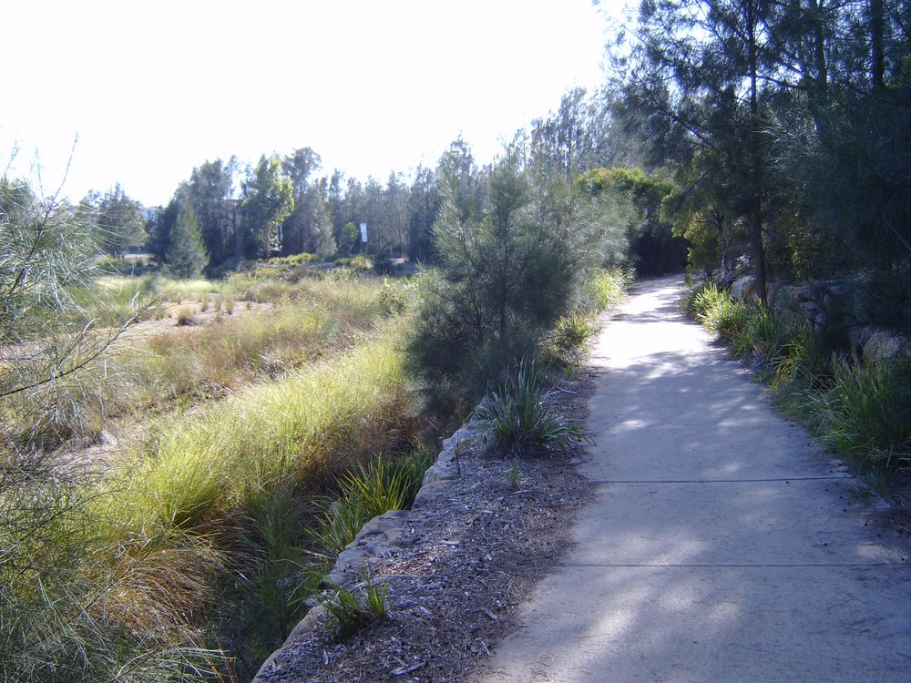 Woodcroft Lake, Woodcroft