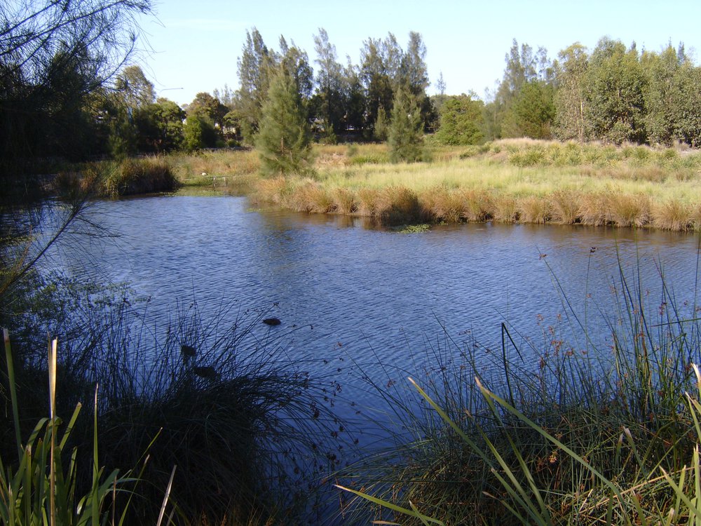 Woodcroft Lake, Woodcroft