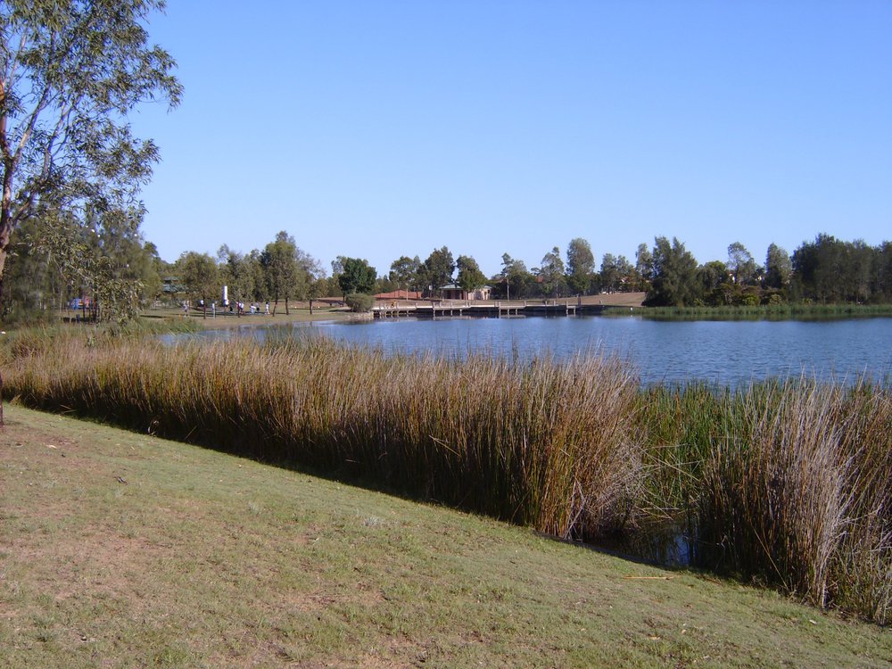 Woodcroft Lake, Woodcroft