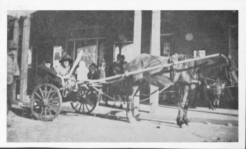 Horse and cart, Main Street Blacktown