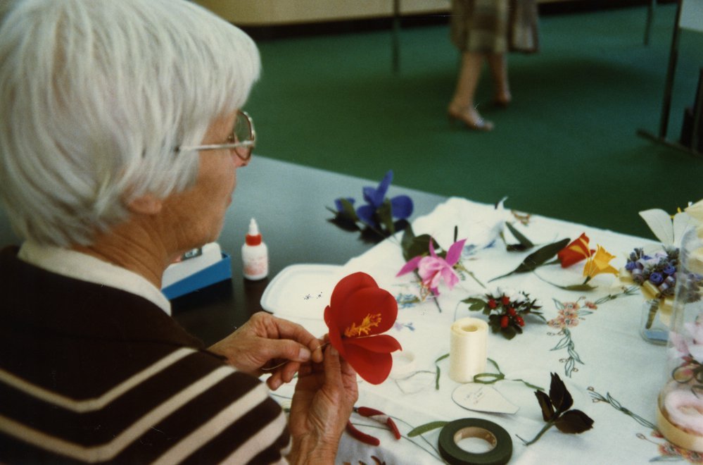 Carnivale and Australian Library Week, 1982