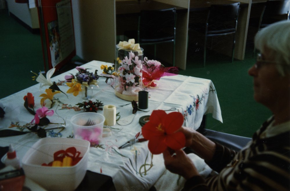 Carnivale and Australian Library Week, 1982