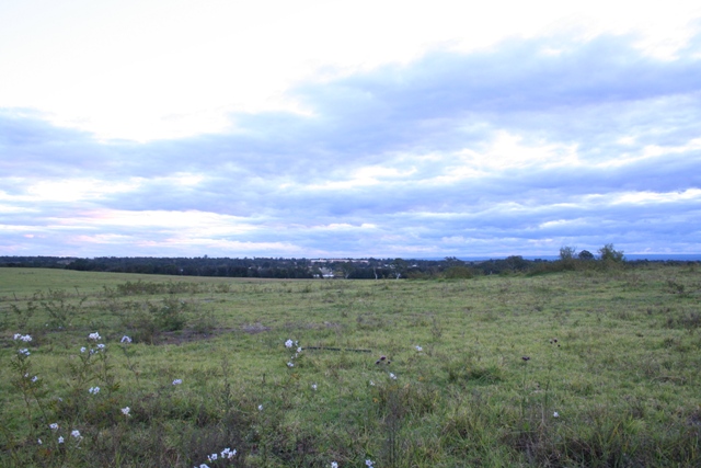 Looking south east from Schofields railway station