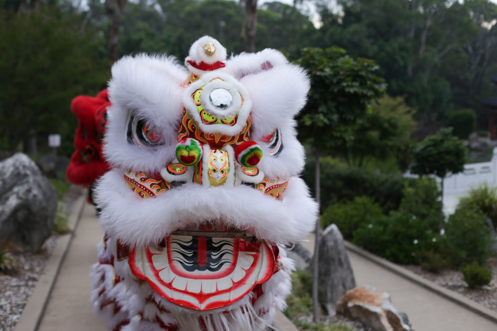 Chinese New Year 2017, Nurragingy Reserve