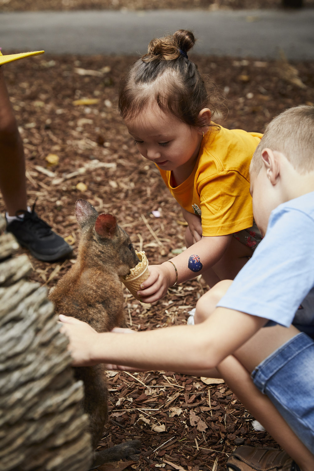 Wake Up with the Wildlife Breakfast at Featherdale Wildlife Park 2017