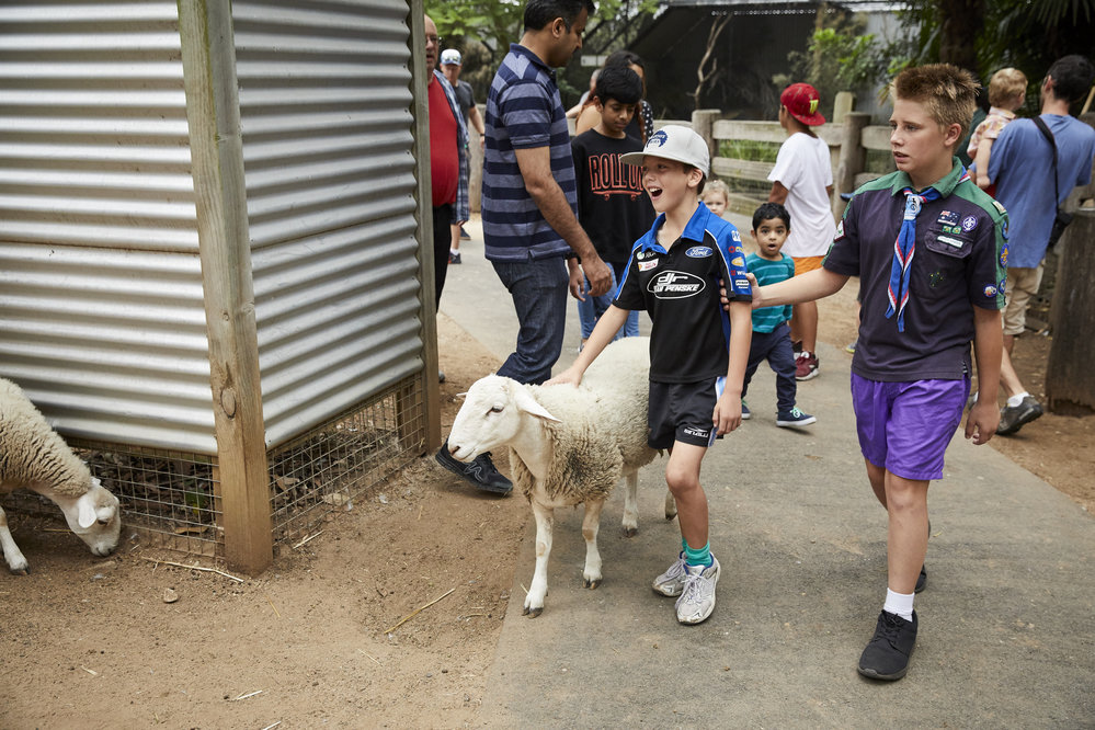 Wake Up with the Wildlife Breakfast at Featherdale Wildlife Park, 2017