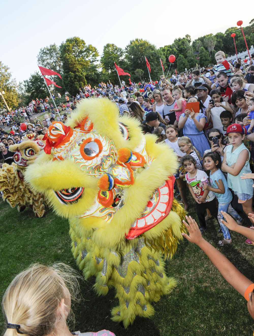 Chinese New Year 2016, Nurragingy Reserve