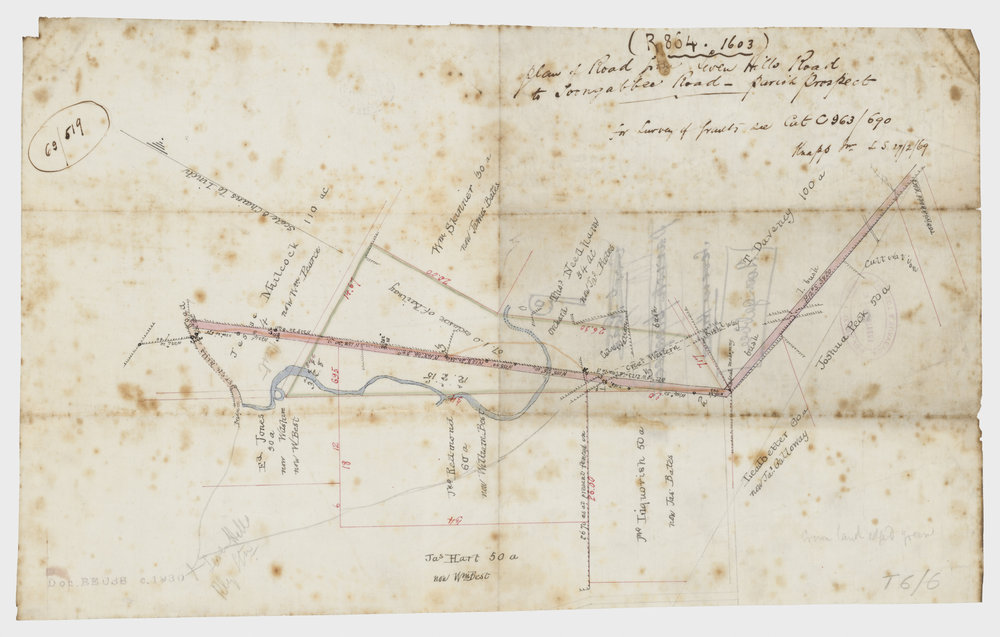 Plan of road from Seven Hills Road to Toongabbie Road, c1869