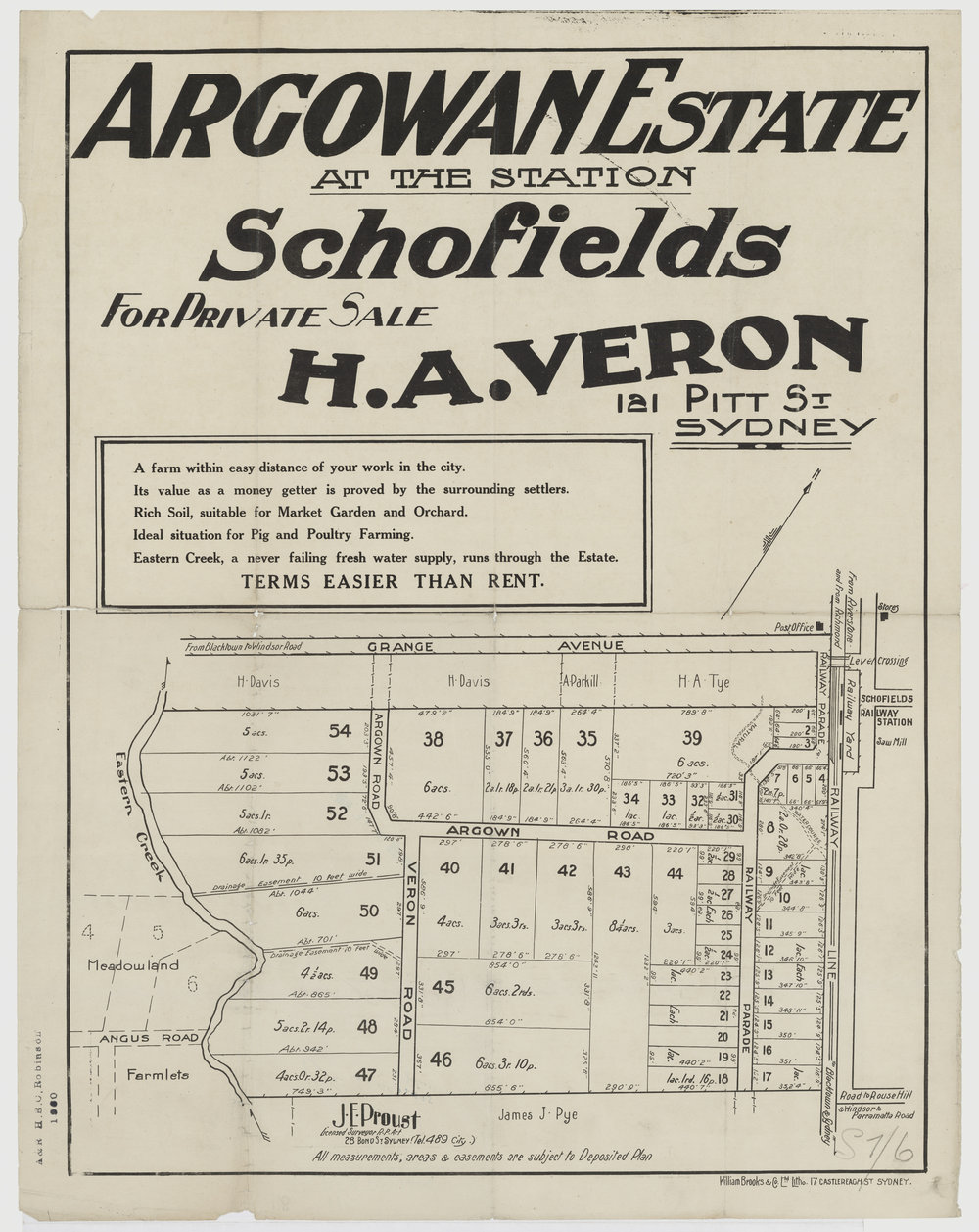 Argowan Estate, Schofields, 1921