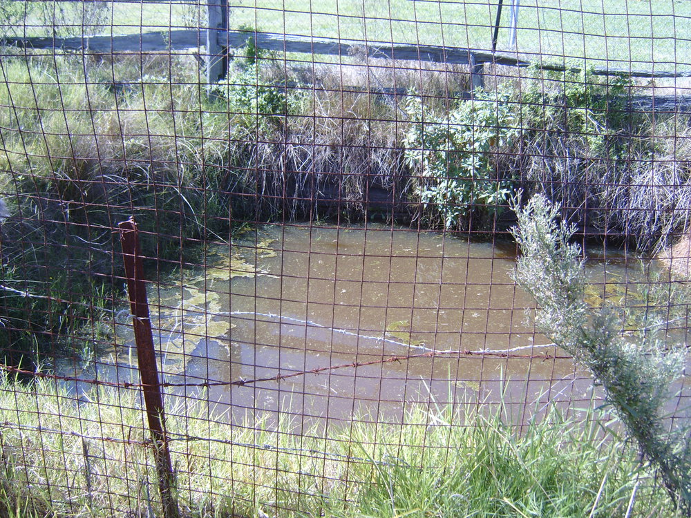 Merriville Rise Park, Kellyville Ridge