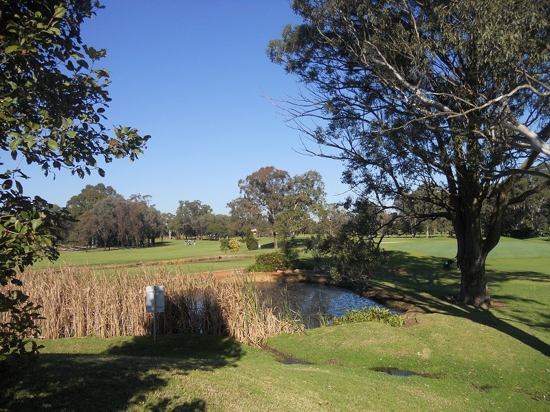 Ashlar Golf Course, Blacktown