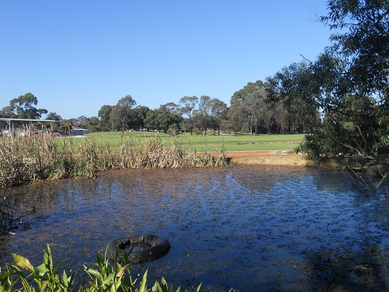 Ashlar Golf Course, Blacktown