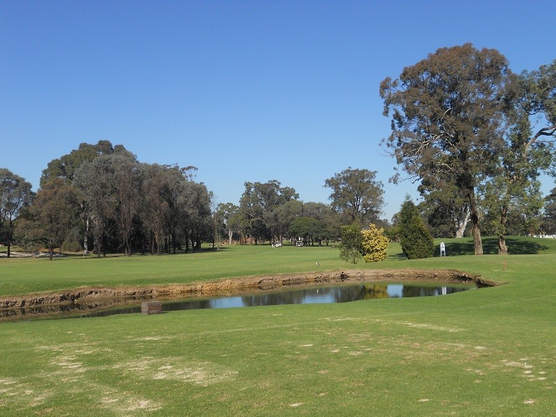 Ashlar Golf Course, Blacktown