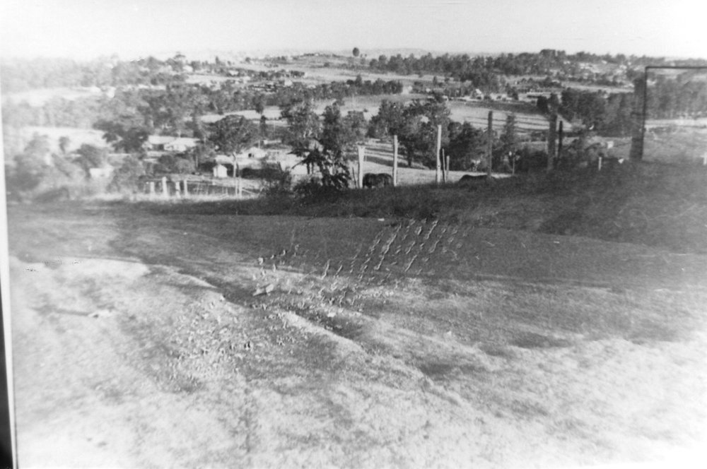 A Paddock in Seven Hills