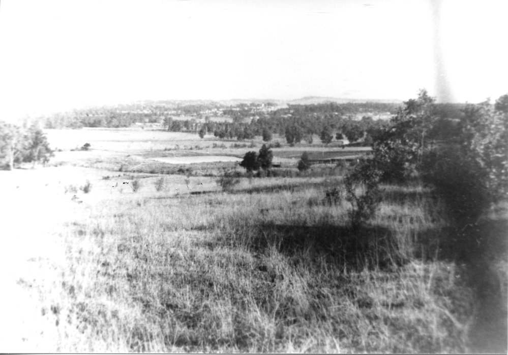 A Paddock in Seven Hills