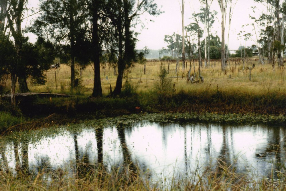 Dawson's Colebee Farm, Richmond Road