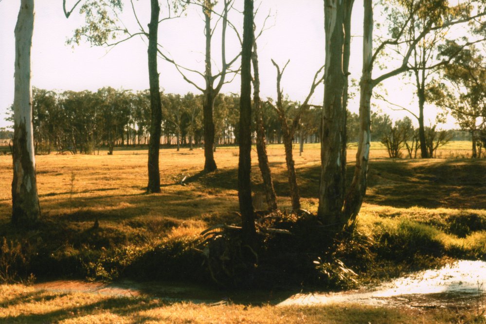 Blacktown Native Institution site, Oakhurst