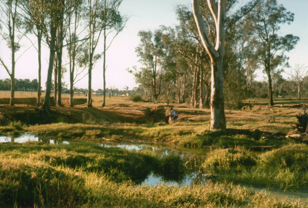 Bells Creek at Blacktown Native Institution site, Oakhurst