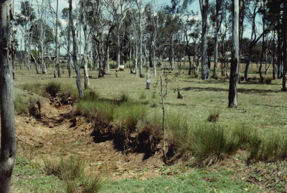 Bells Creek at Blacktown Native Institution site, Oakhurst