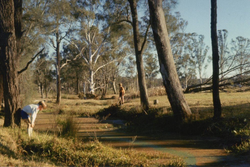 Bells Creek at Blacktown Native Institution site, Oakhurst