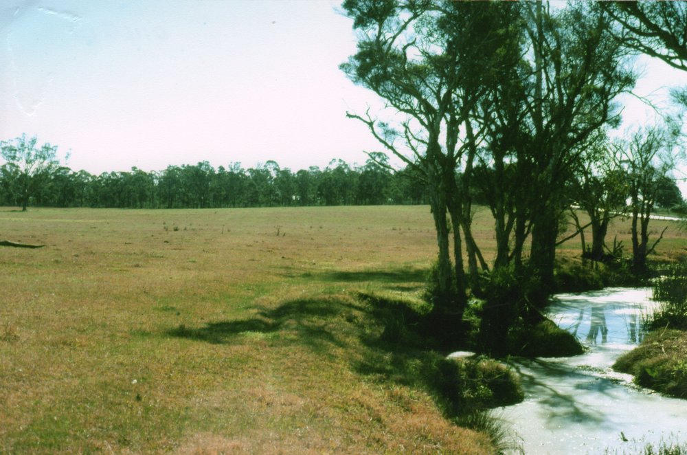 Bells Creek at Blacktown Native Institution site, Oakhurst
