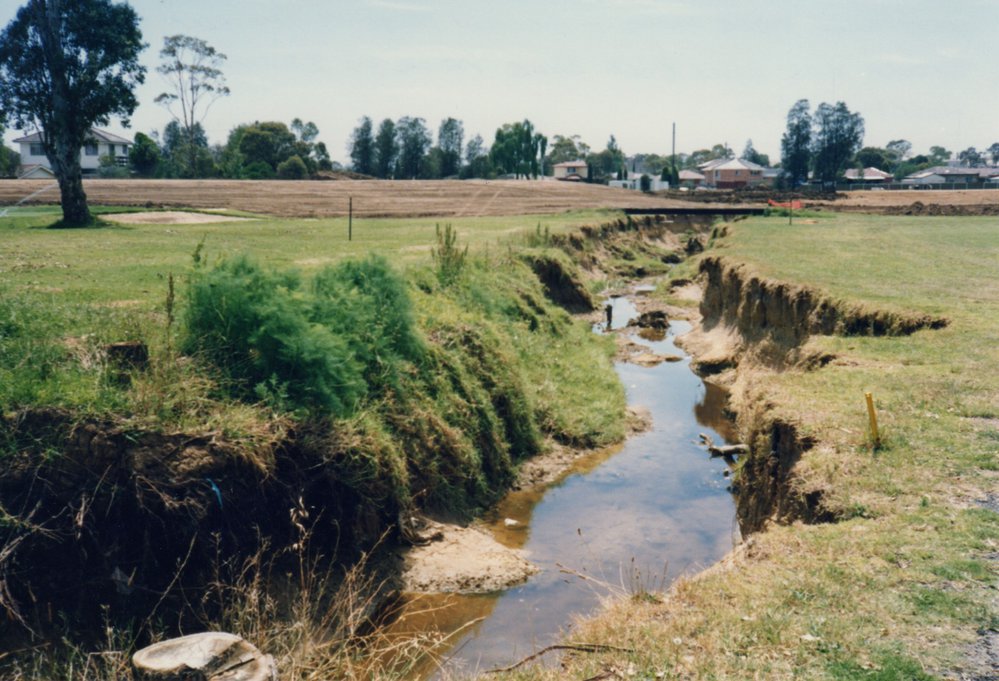 Greystanes Creek through Fox Hills Golf Club