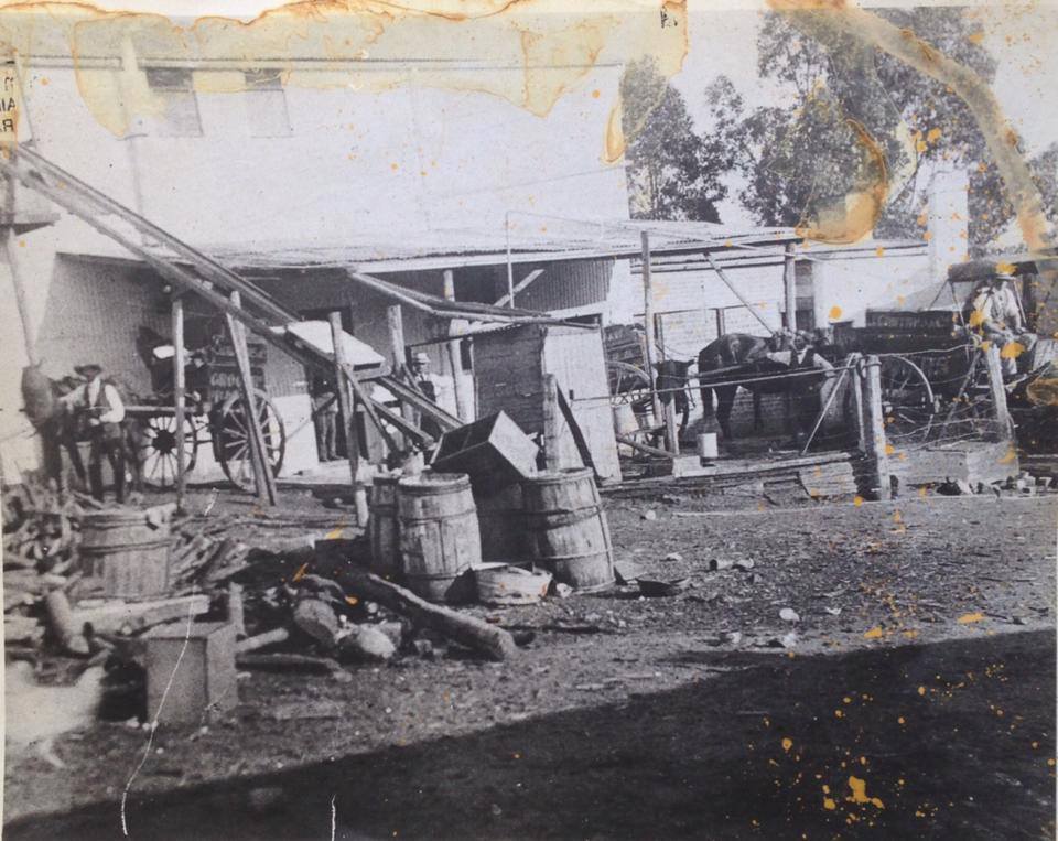 Gribble's Bakery, Blacktown