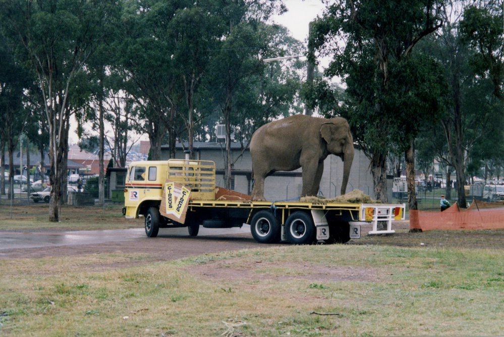 Ashton's Circus at Blacktown Showground, Blacktown