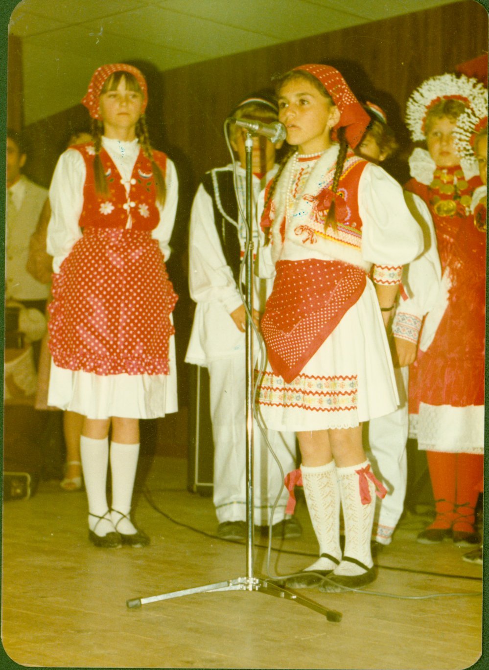 European Cultural Event