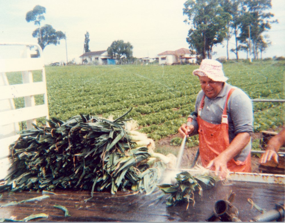 Market gardens, Meurants Lane Parklea
