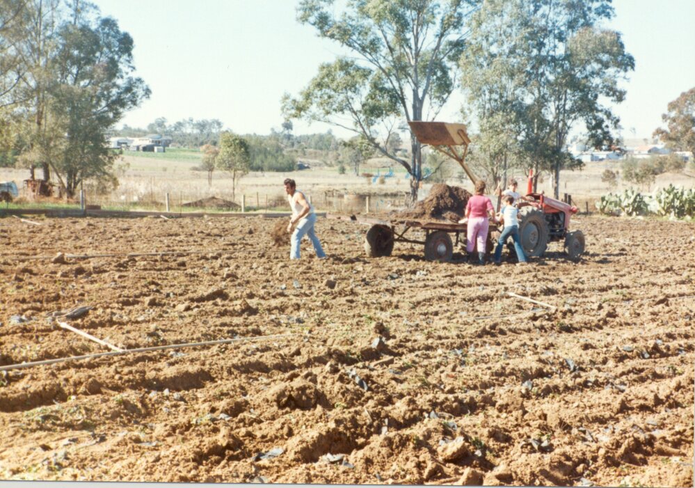 Farming at Schofields