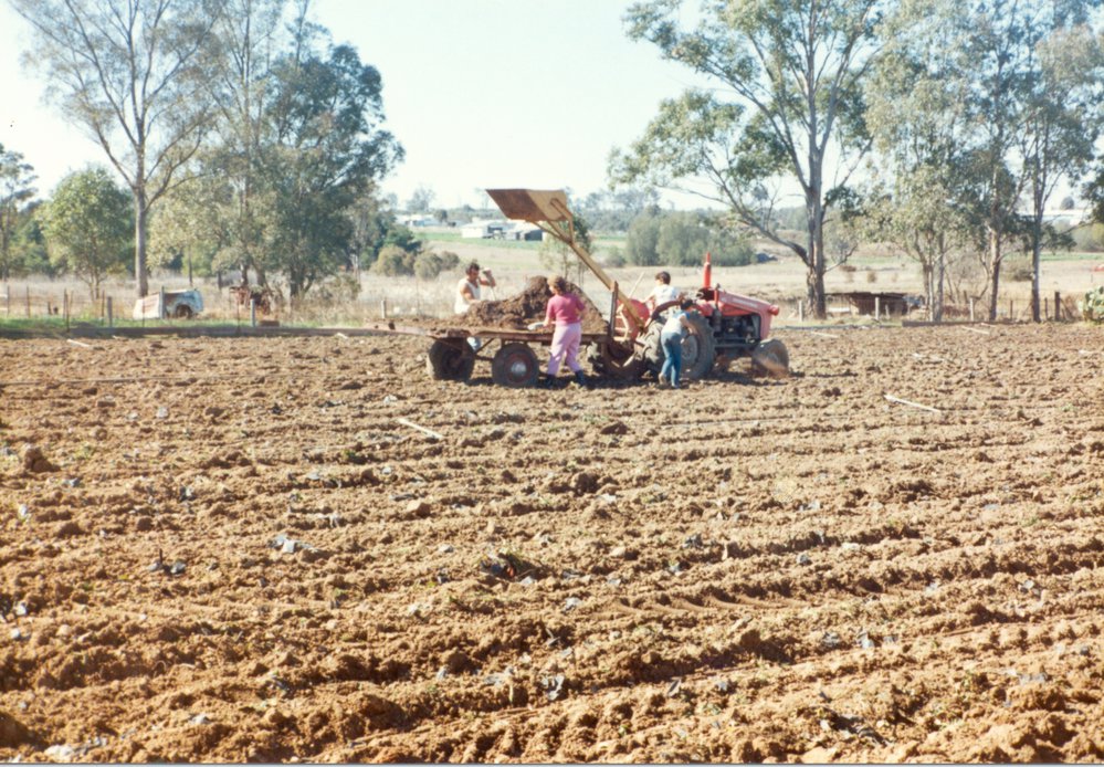 Farming at Schofields