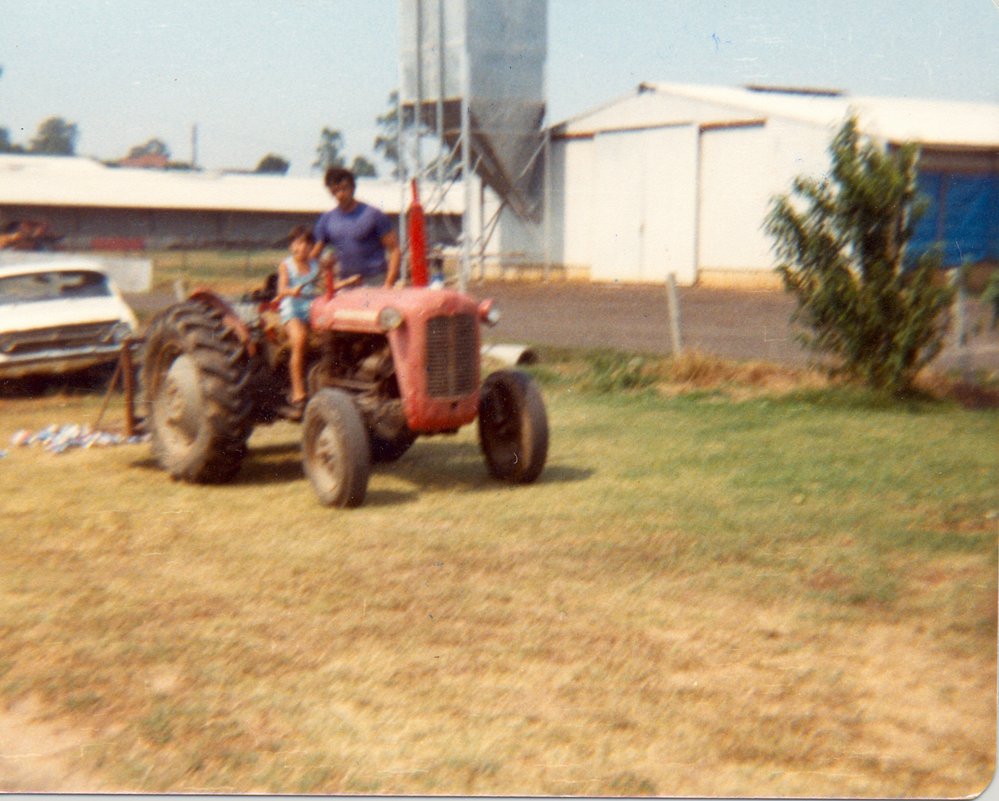 Farming at Schofields