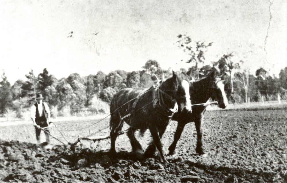 Farming