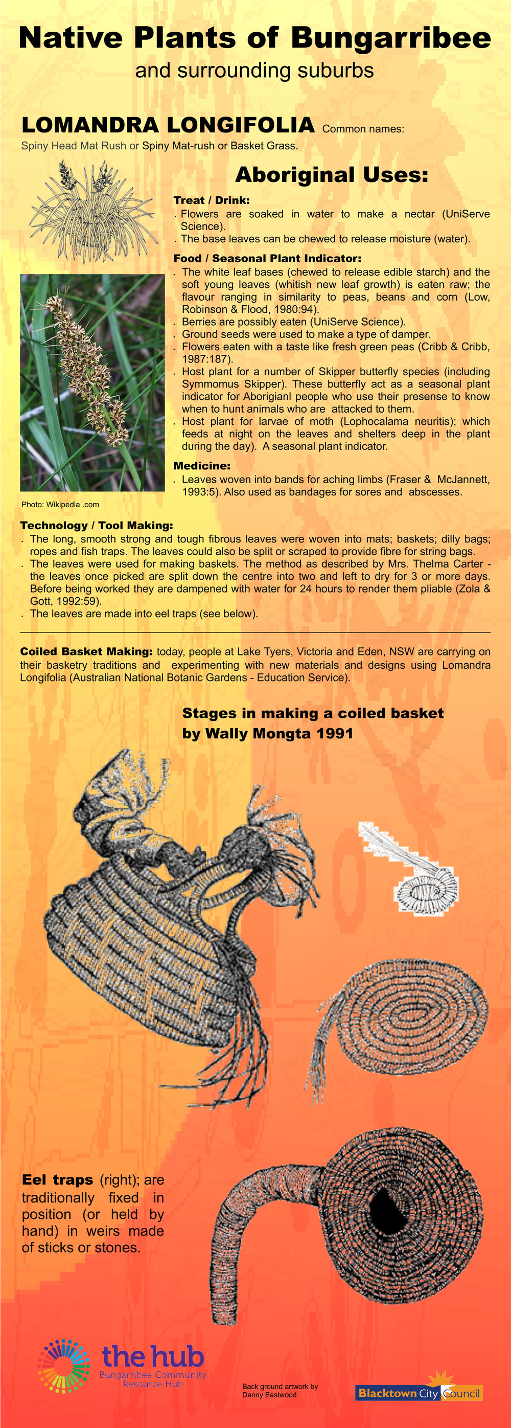 Native plants of Bungarribee and surrounding suburbs: Aboriginal uses