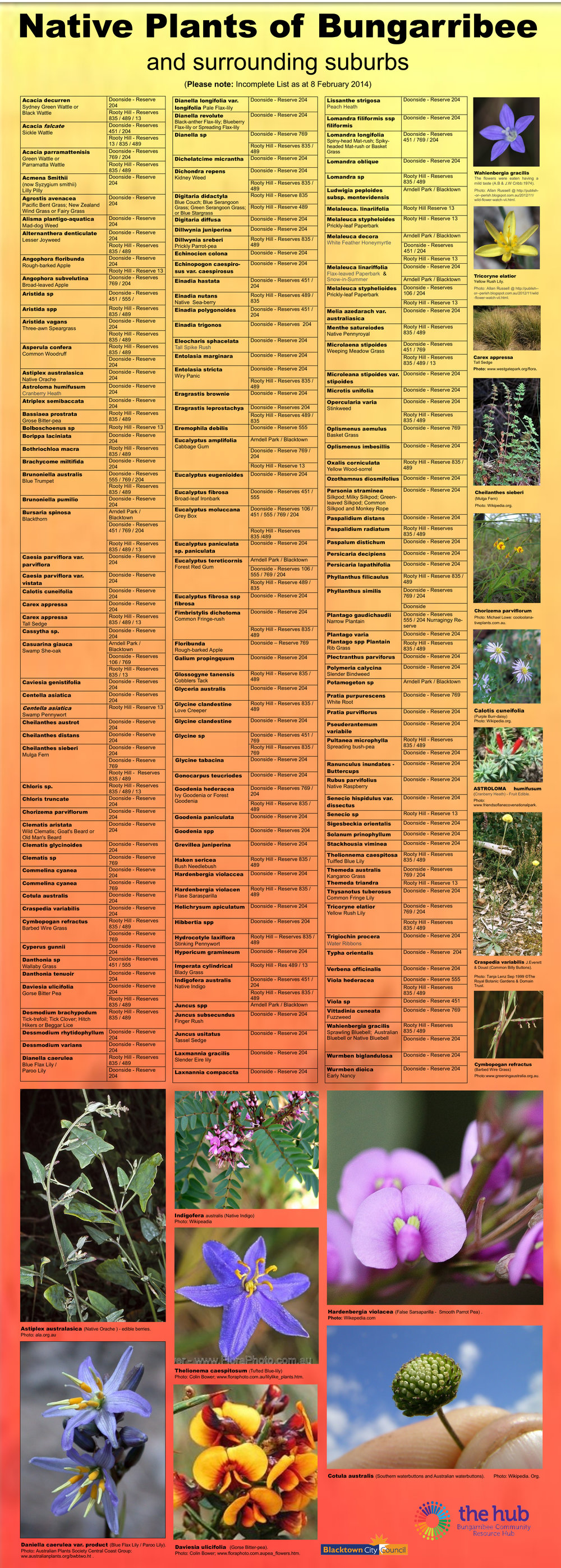 Native plants of Bungarribee and surrounding suburbs: Aboriginal Medicine Plants 2