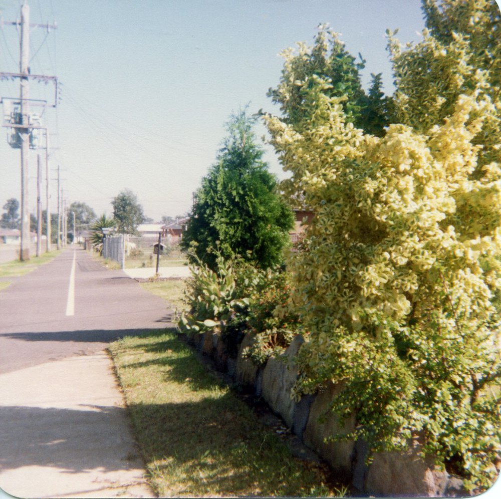 Trawalla Street, Hebersham
